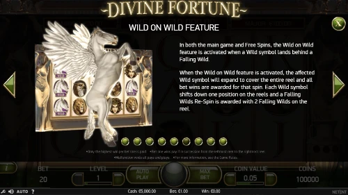 divine fortune wild on wild feature